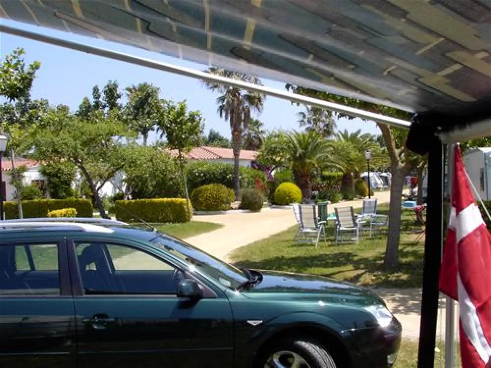 Las Palmeras - Costa Brava