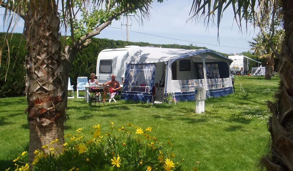 Las Palmeras - Costa Brava