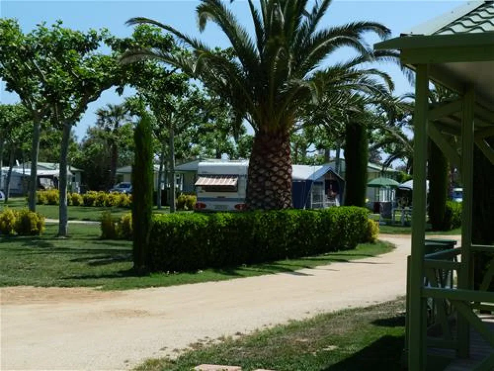 Las Palmeras - Costa Brava