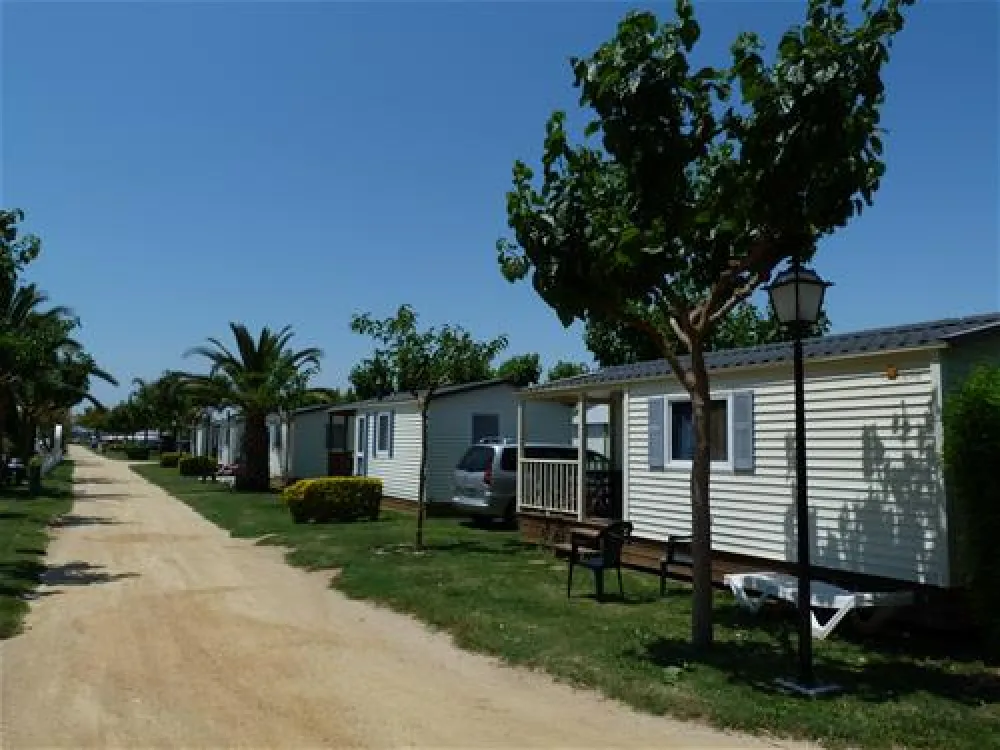 Las Palmeras - Costa Brava