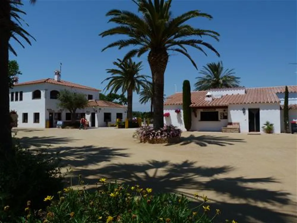 Las Palmeras - Costa Brava