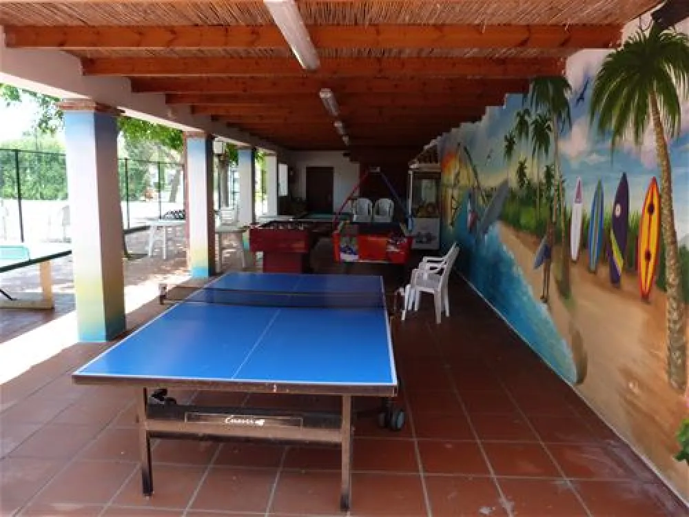 Las Palmeras - Costa Brava