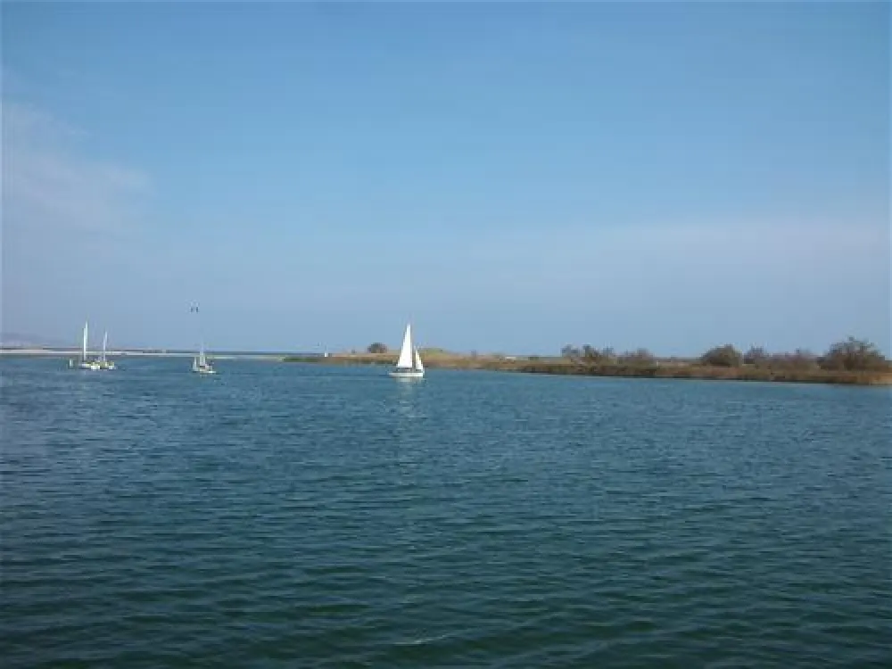 Las Palmeras - Costa Brava