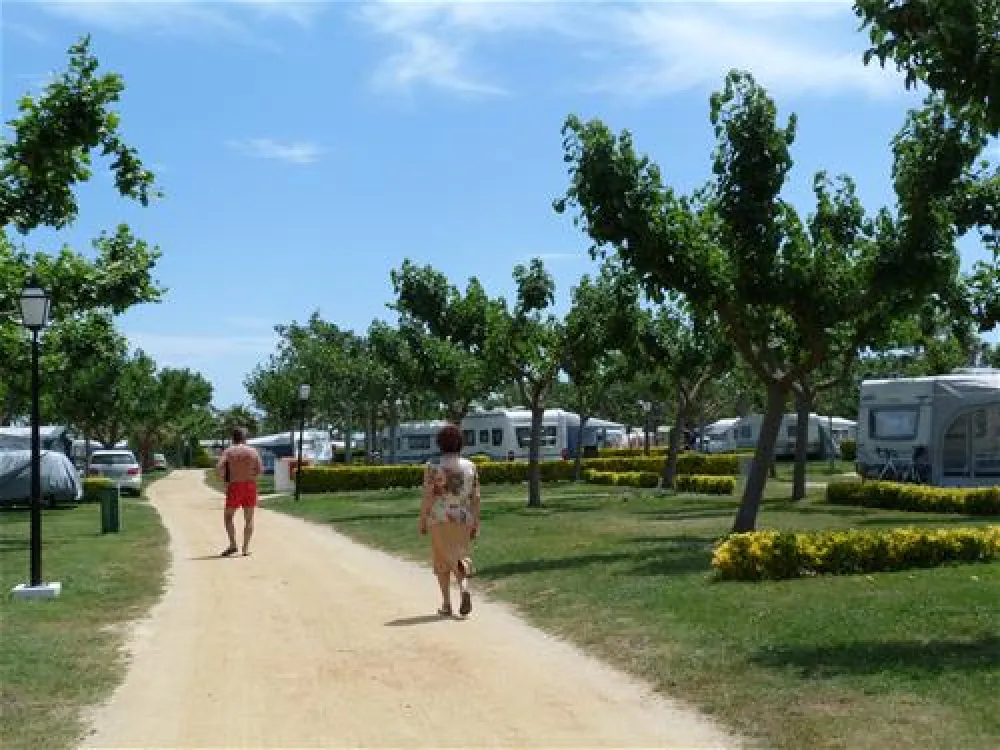 Las Palmeras - Costa Brava