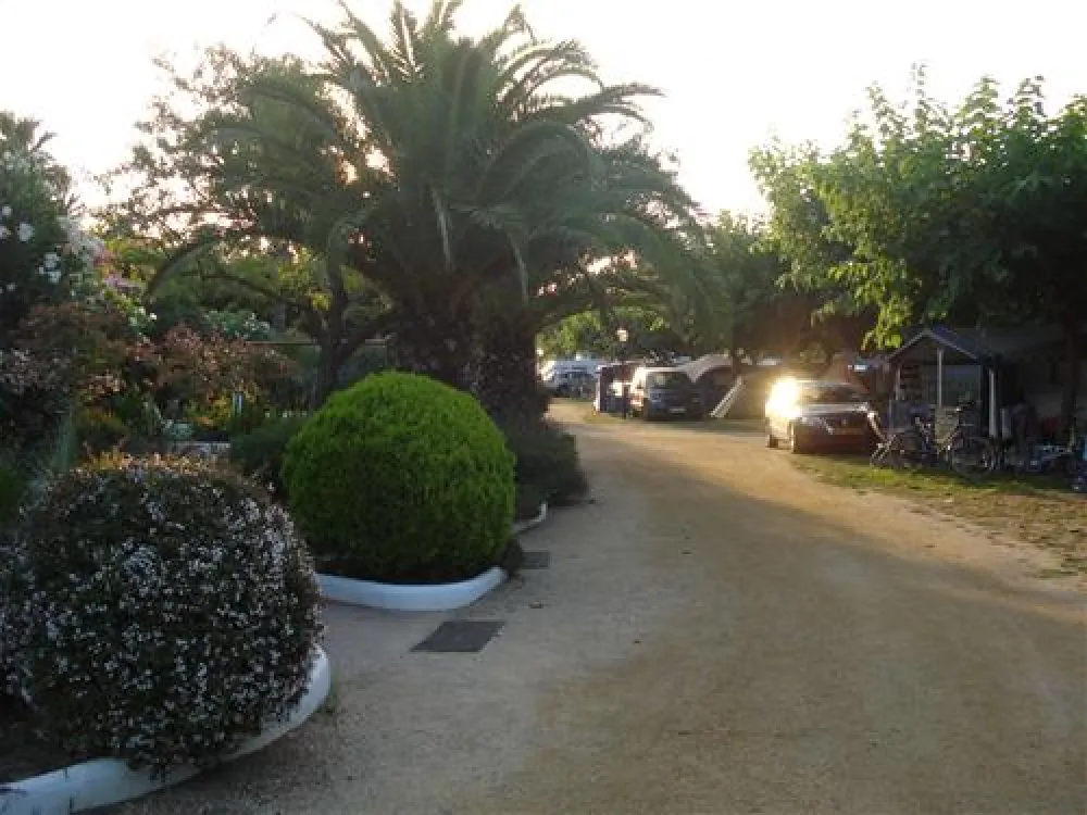 Las Palmeras - Costa Brava