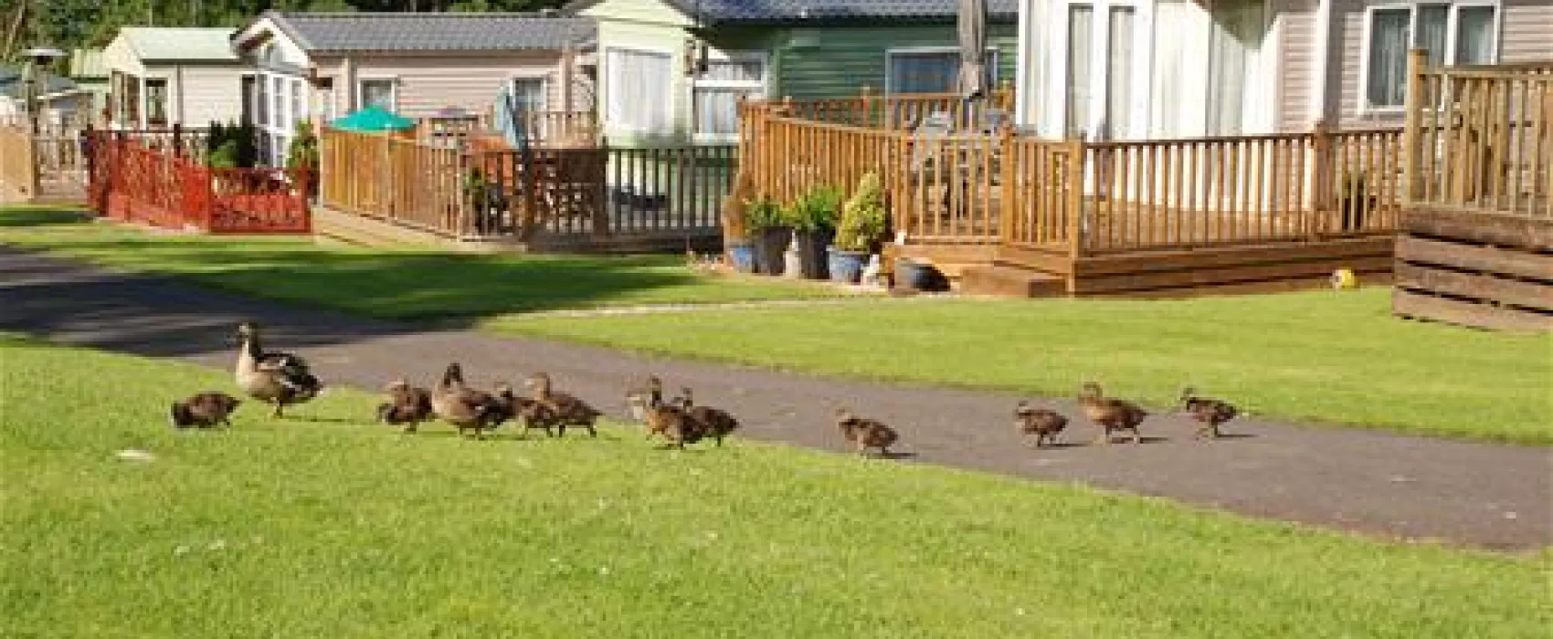 Causey Hill Caravan Park