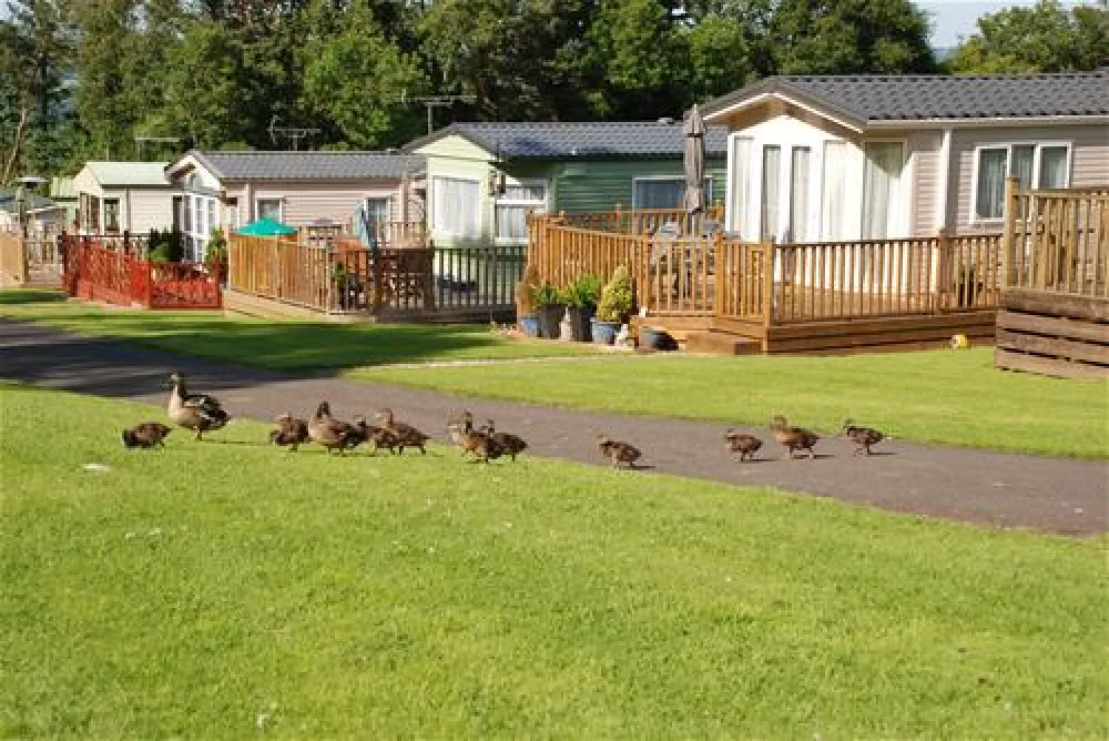 Causey Hill Caravan Park