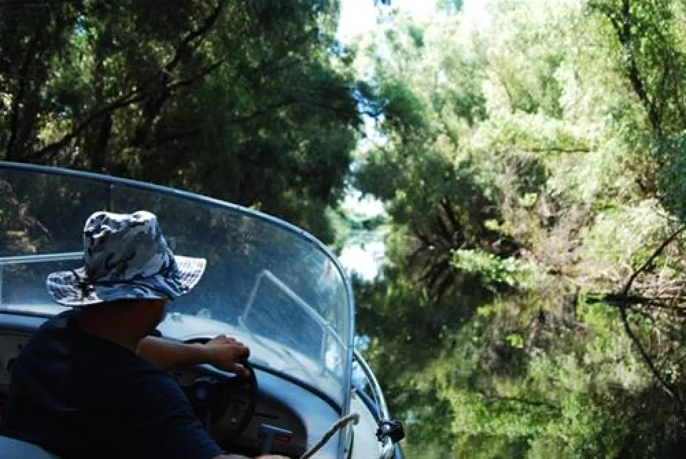 Camping Murighiol,Two Sturgeons (Doi Sturioni)