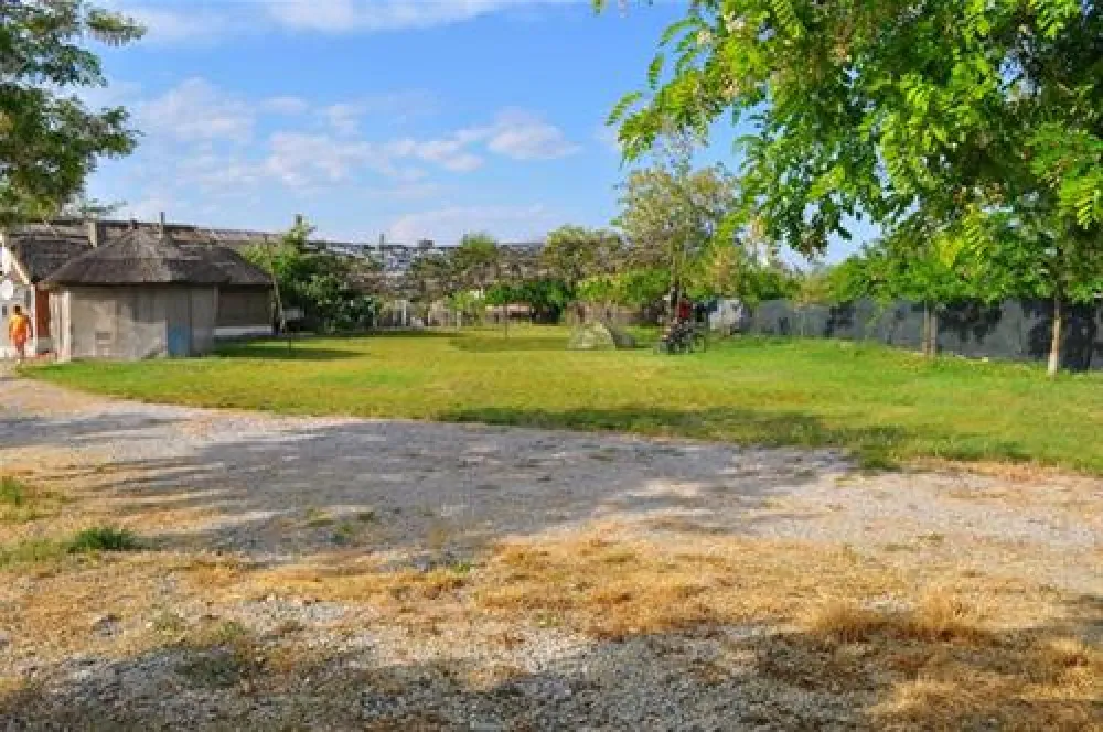 Camping Murighiol,Two Sturgeons (Doi Sturioni)