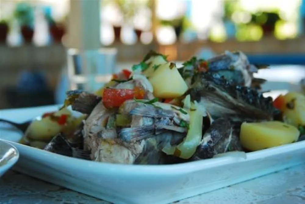 Camping Murighiol,Two Sturgeons (Doi Sturioni)