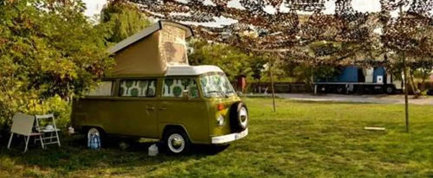 Camping Murighiol,Two Sturgeons (Doi Sturioni)