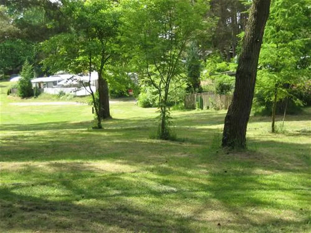 Waldcamping Zethner See