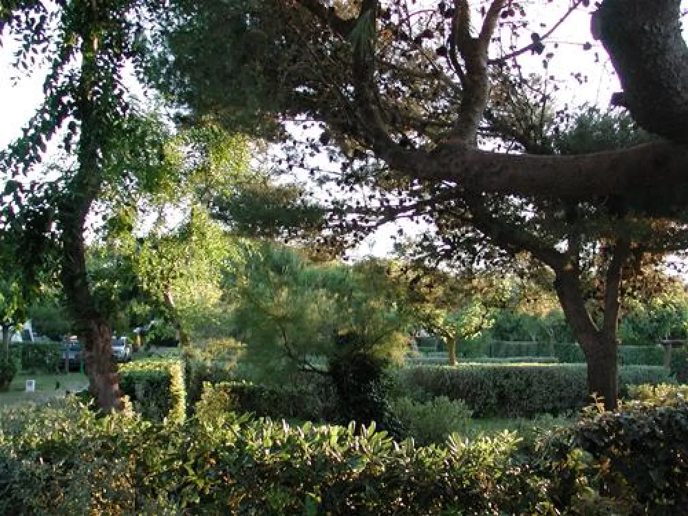 Yelloh ! Village Le Brasilia  