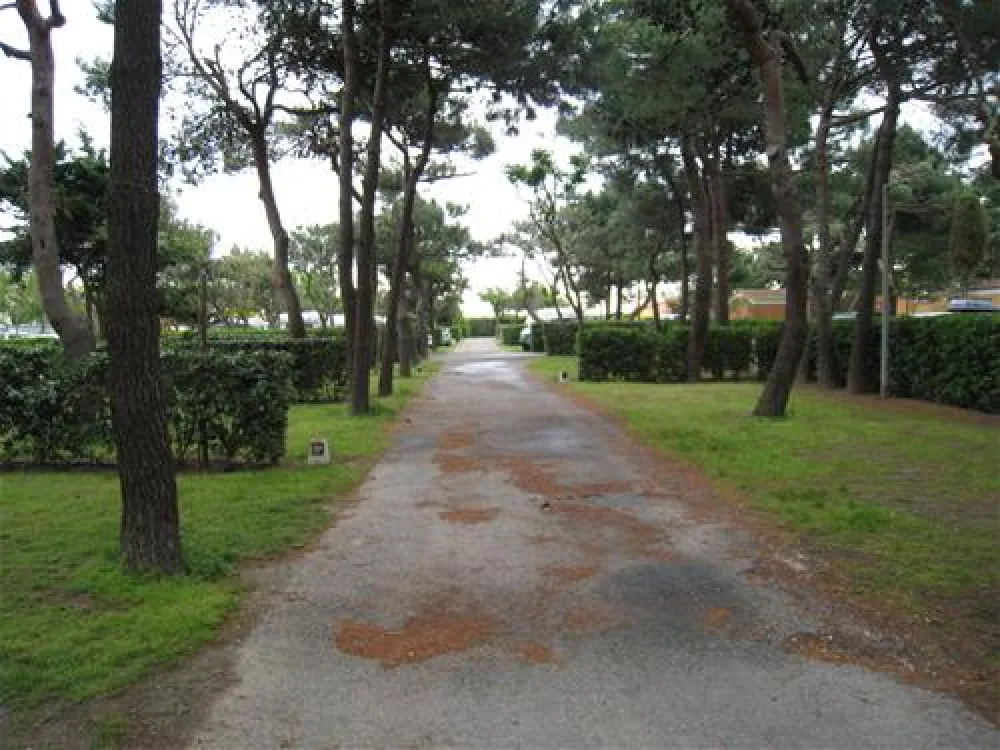 Yelloh ! Village Le Brasilia  