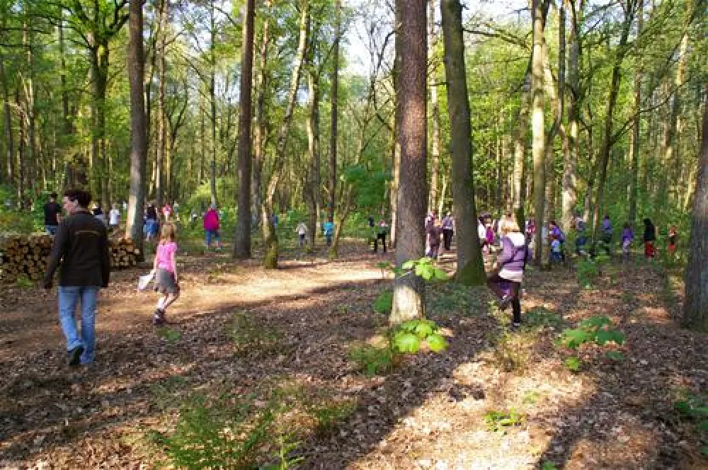 Comfortcamping Hase-Ufer