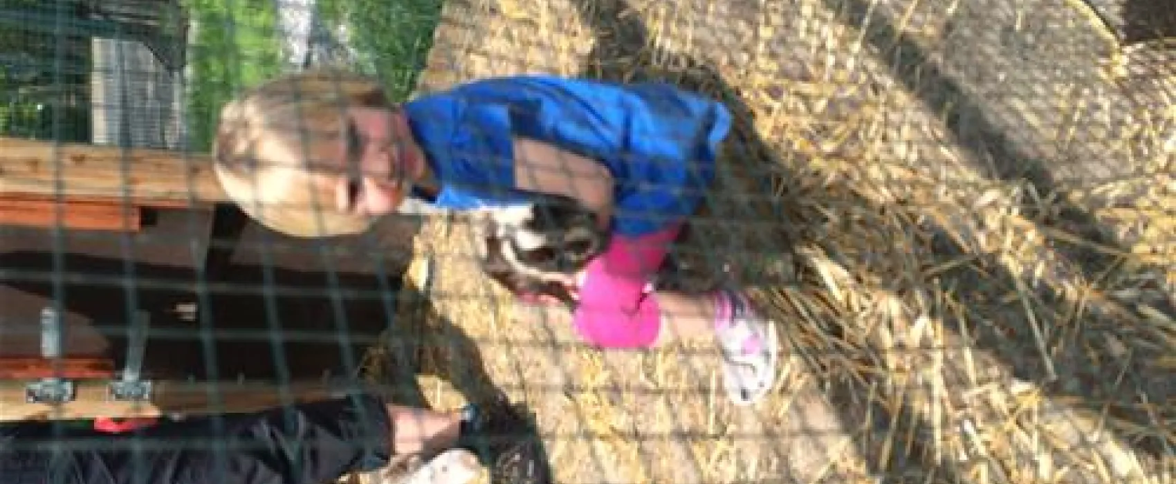 Comfortcamping Hase-Ufer