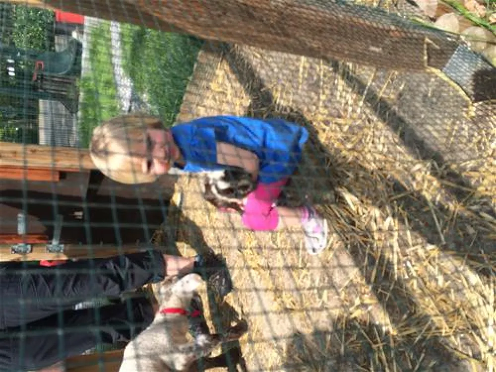 Comfortcamping Hase-Ufer