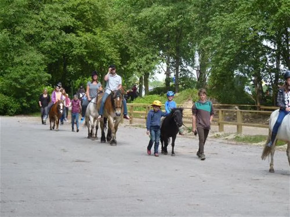 Comfortcamping Hase-Ufer