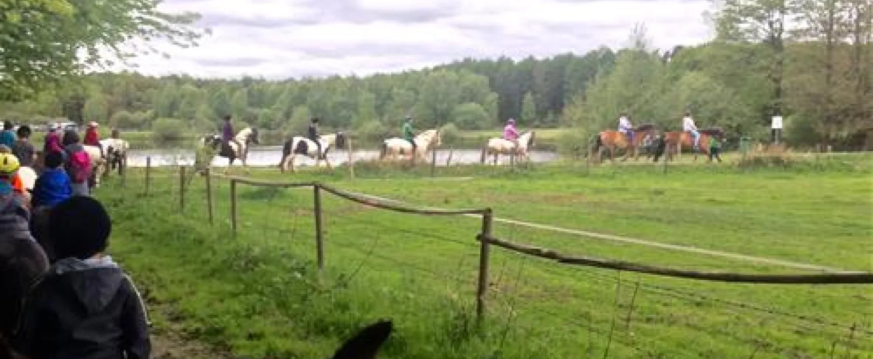 Comfortcamping Hase-Ufer