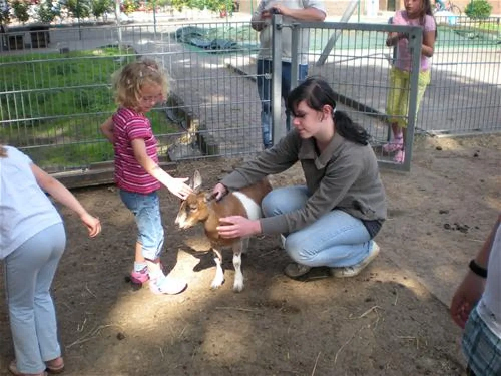 Comfortcamping Hase-Ufer