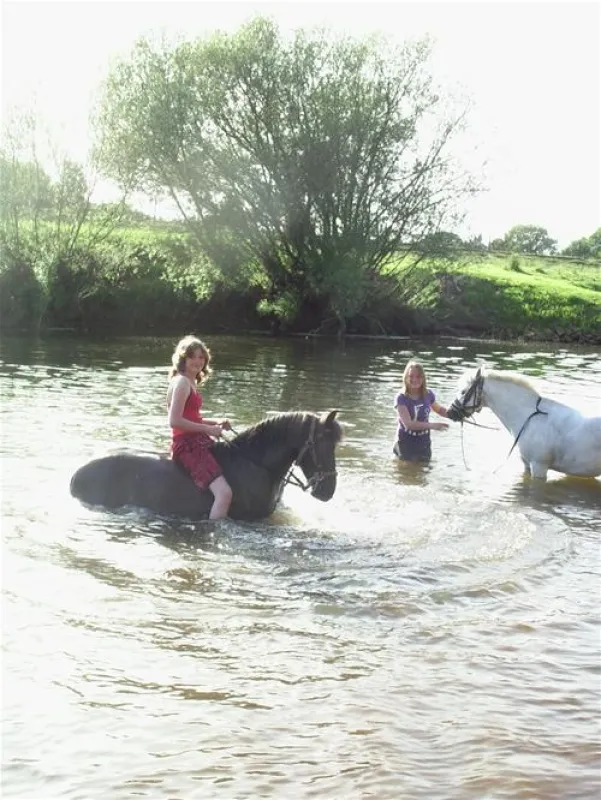 Comfortcamping Hase-Ufer