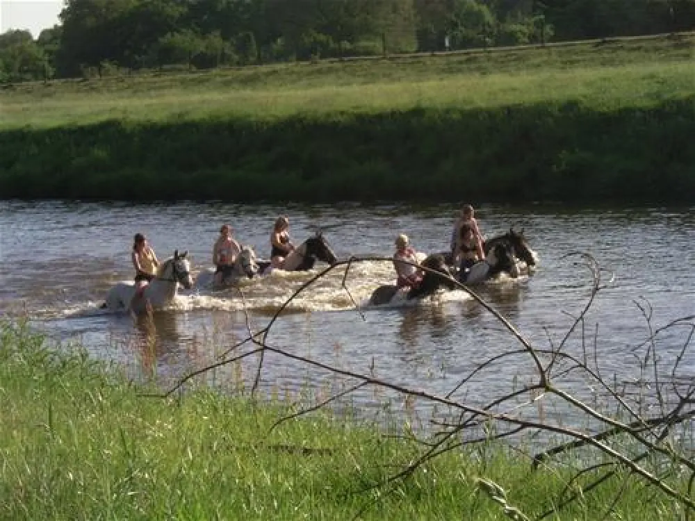 Comfortcamping Hase-Ufer