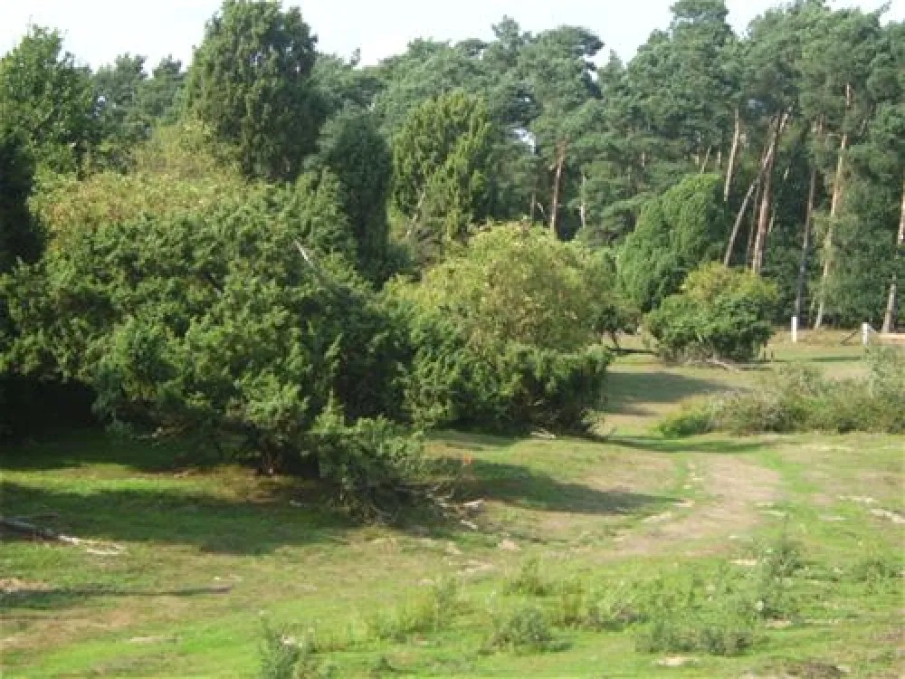 Comfortcamping Hase-Ufer