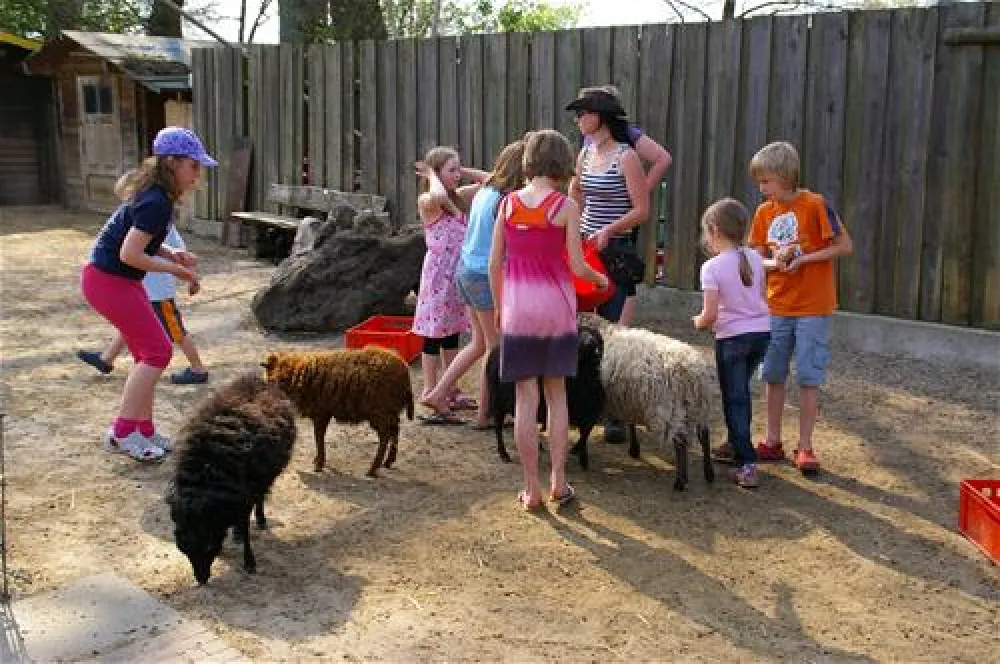 Comfortcamping Hase-Ufer