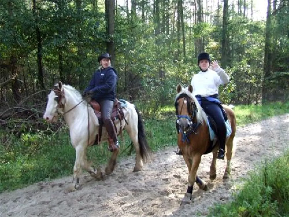 Comfortcamping Hase-Ufer