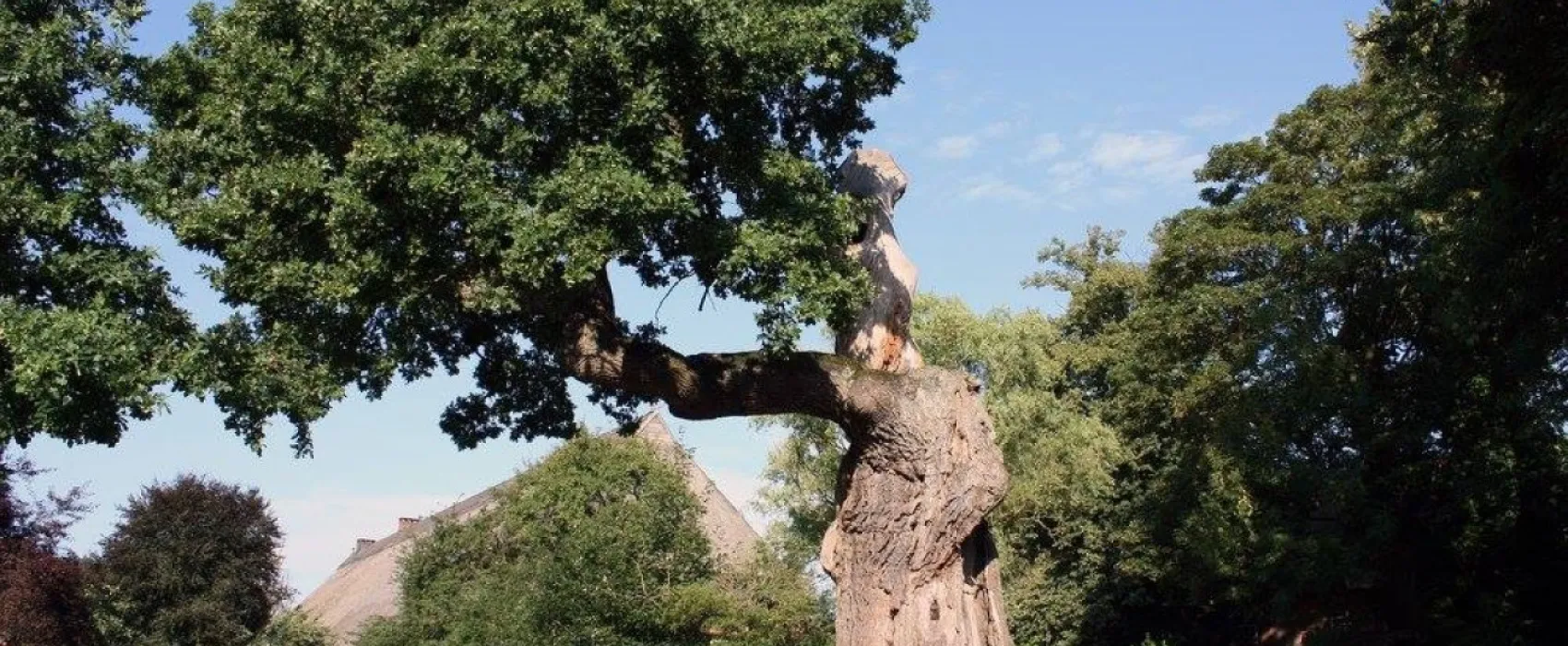 Campingplatz Hunte-Camp - In Niedersachsen