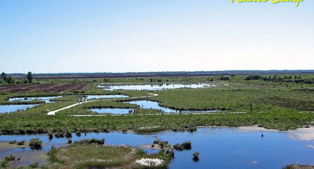 Campingplatz Hunte-Camp - In Niedersachsen