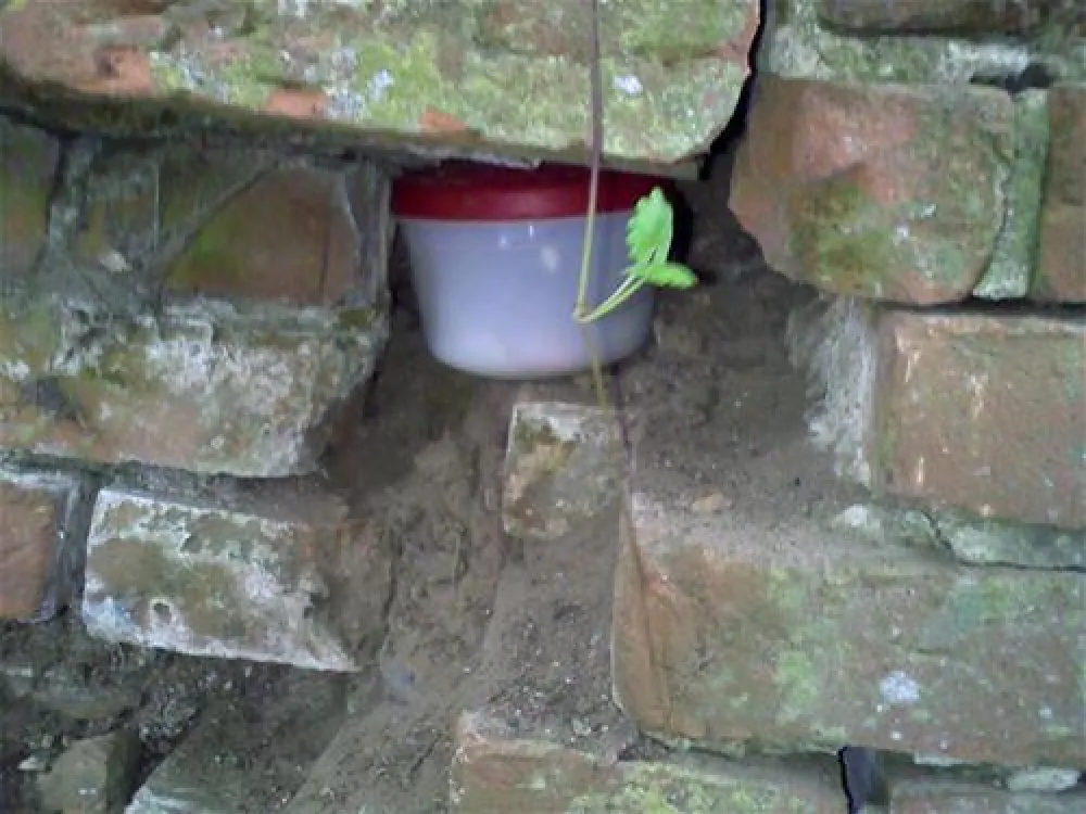 Campingplatz Hunte-Camp - In Niedersachsen