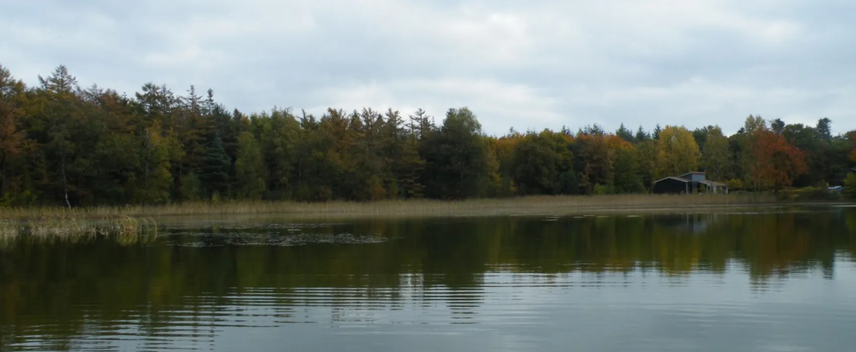 Kampeerterrein De Boekelter