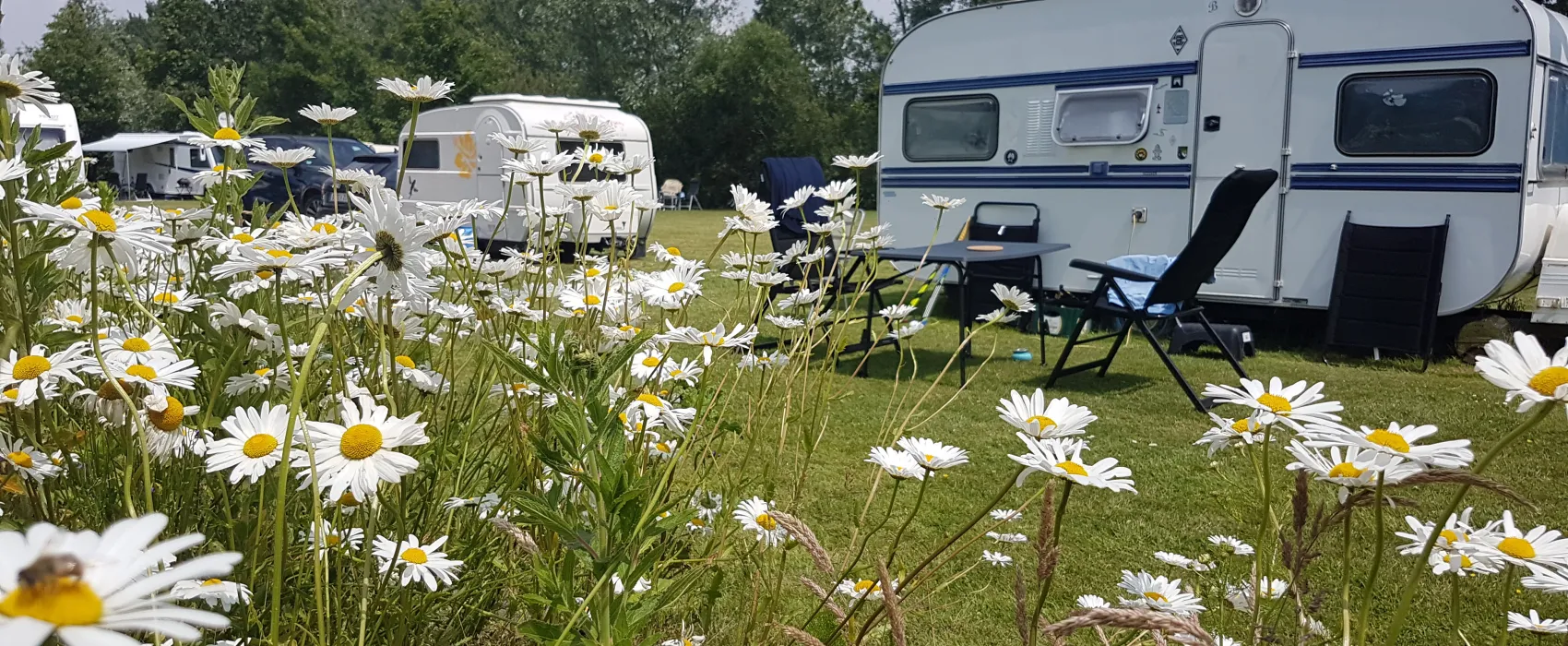 Camping Welgelegen