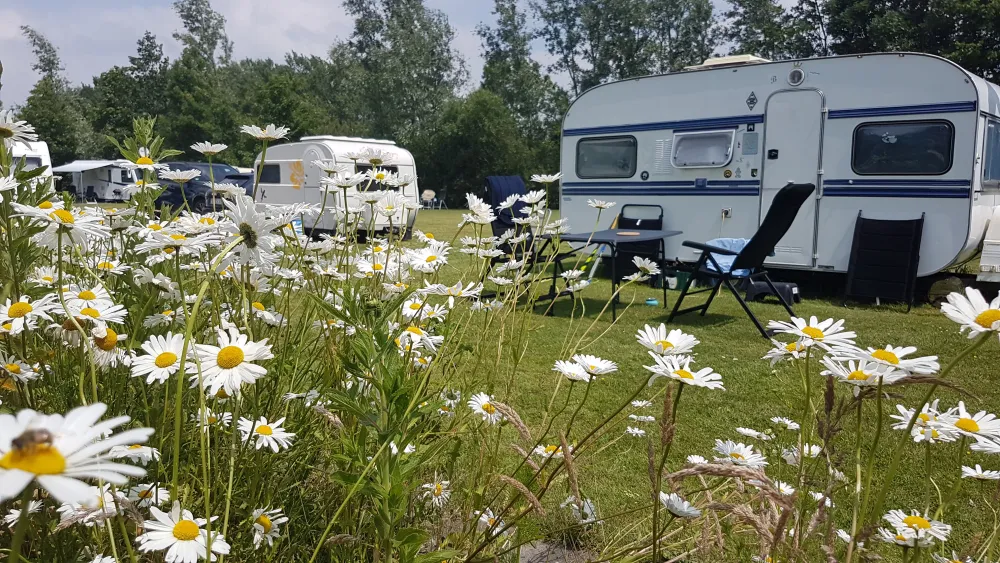 Camping Welgelegen