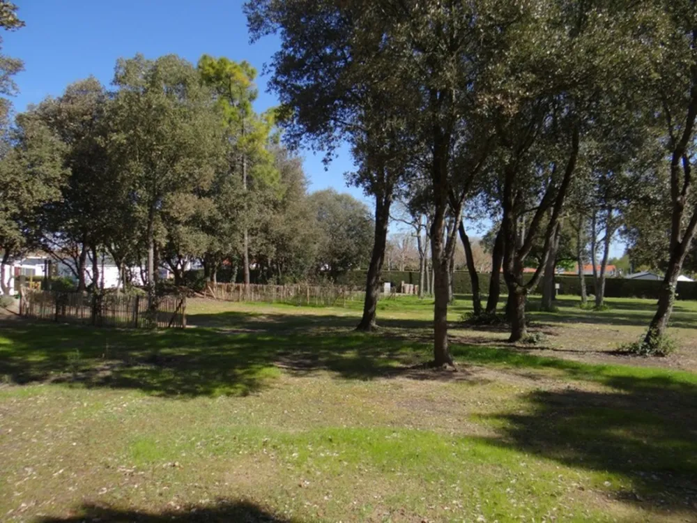 Camping Le Bois Verdon