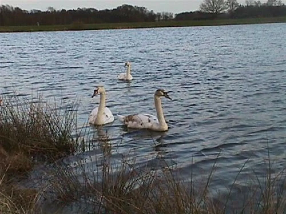 Campingplatz Hartensbergsee