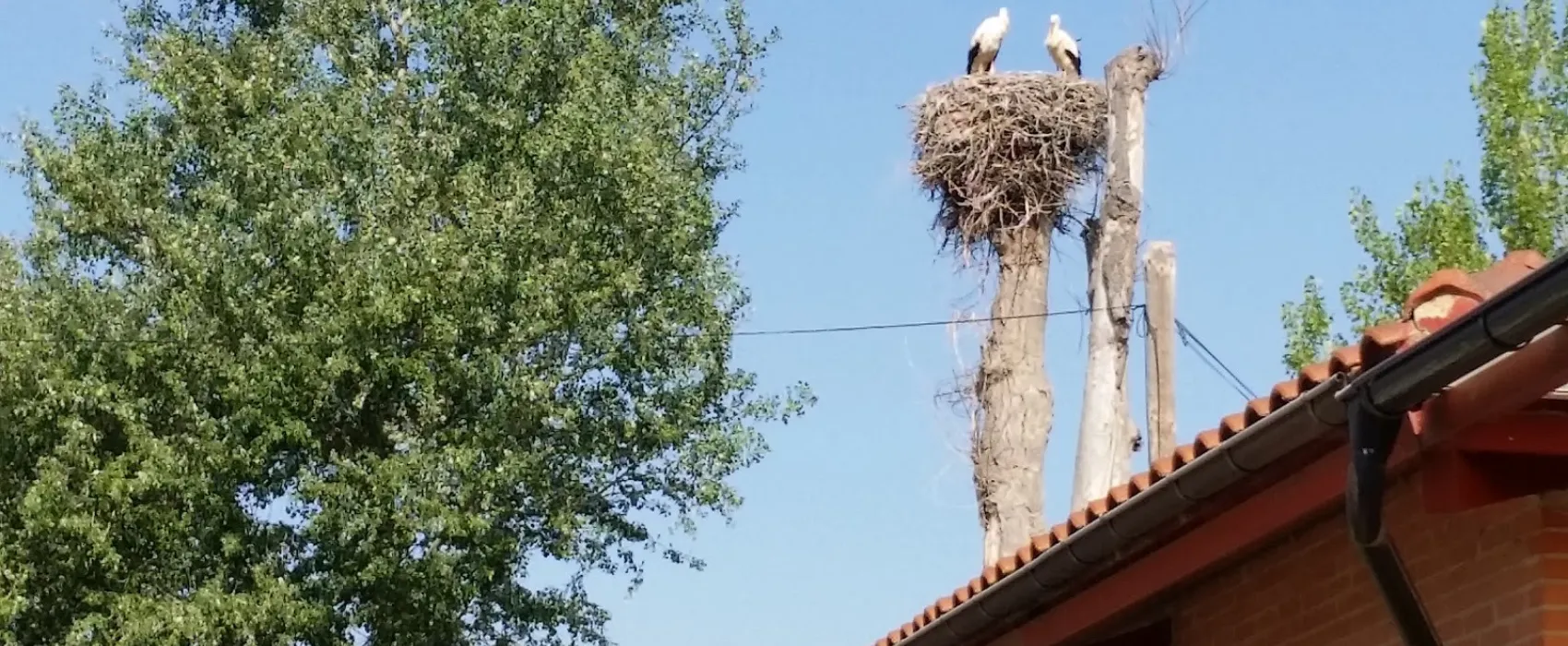 Camping Fuente de la Teja