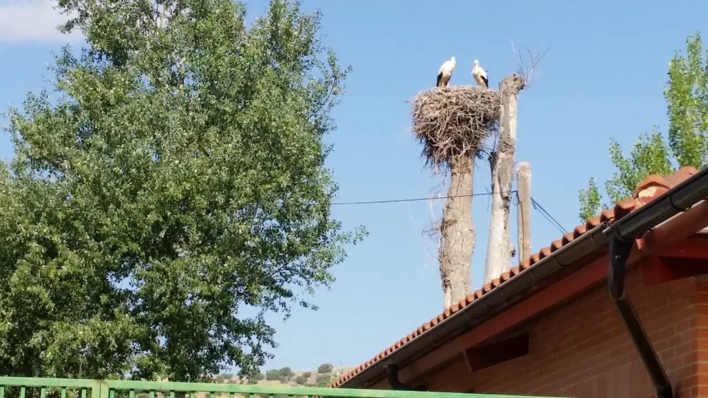 Camping Fuente de la Teja