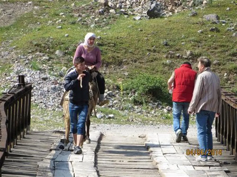 Camping Biofarm Reci