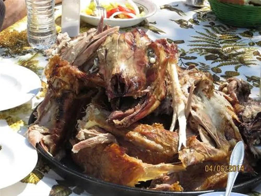 Camping Biofarm Reci