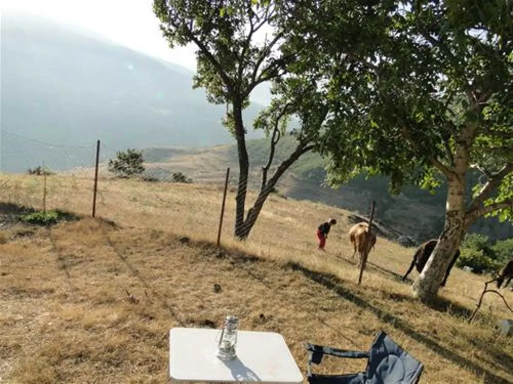 Camping Biofarm Reci