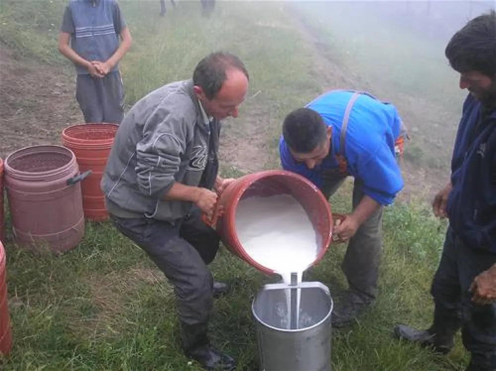 Camping Biofarm Reci