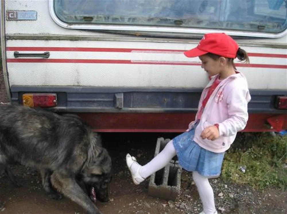 Camping Biofarm Reci