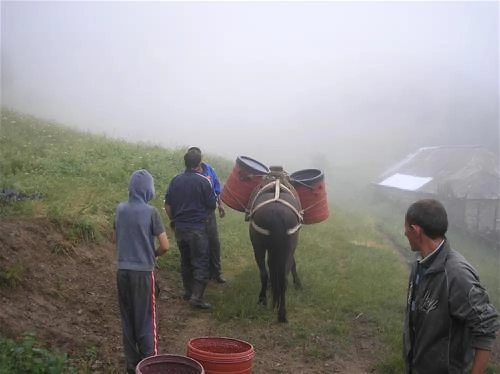 Camping Biofarm Reci