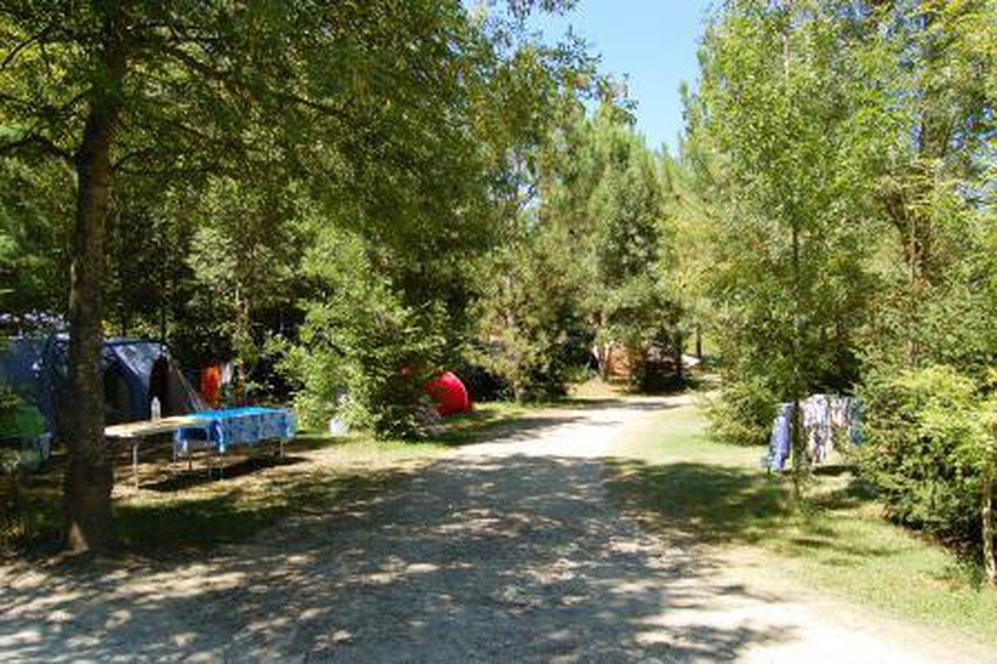 Camping De Bergougne photo 4
