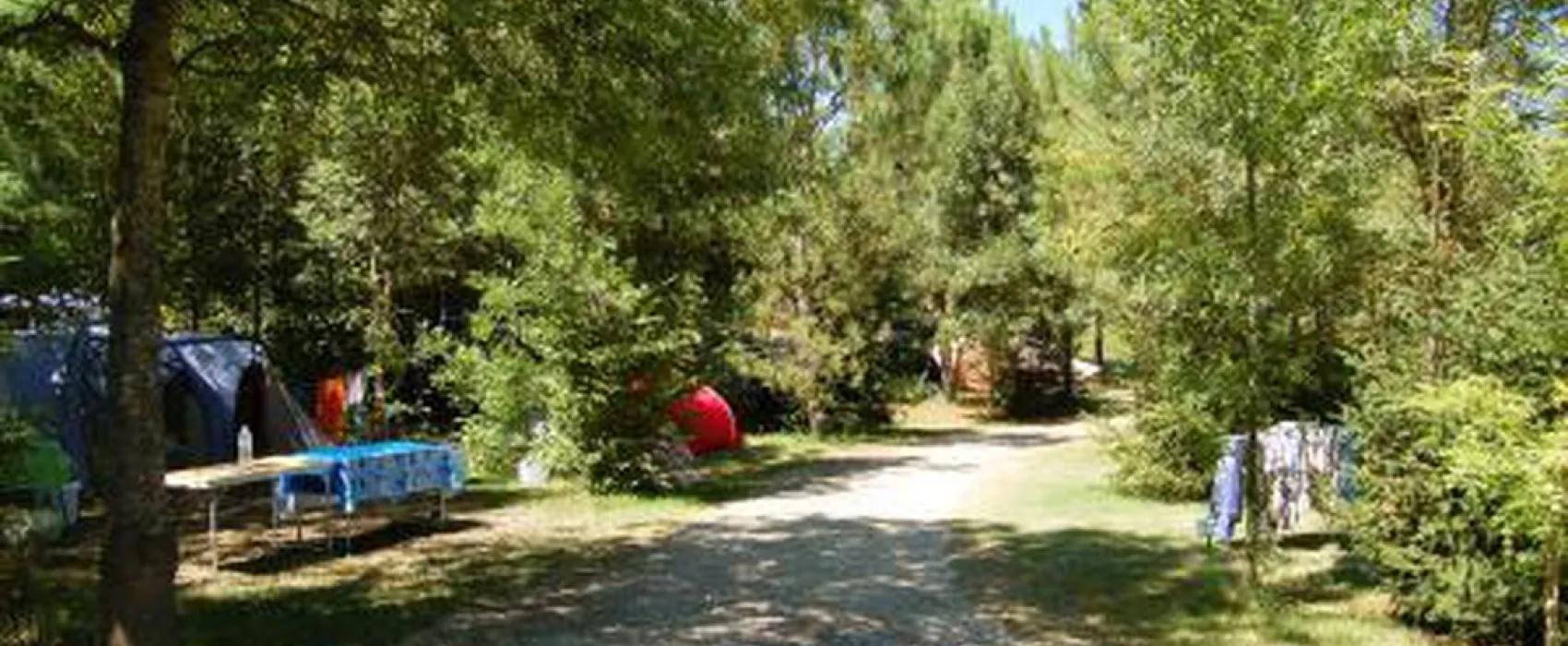 Camping De Bergougne  