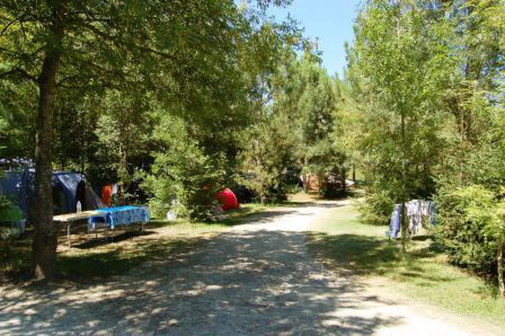 Camping De Bergougne  