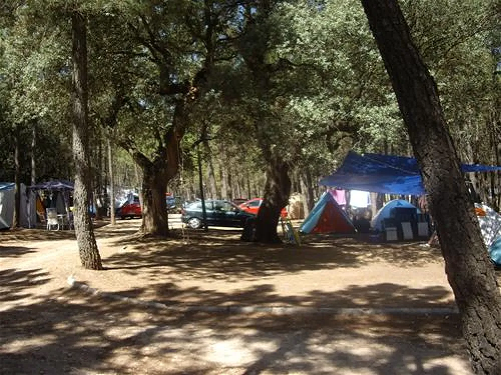 Camping Riopar
