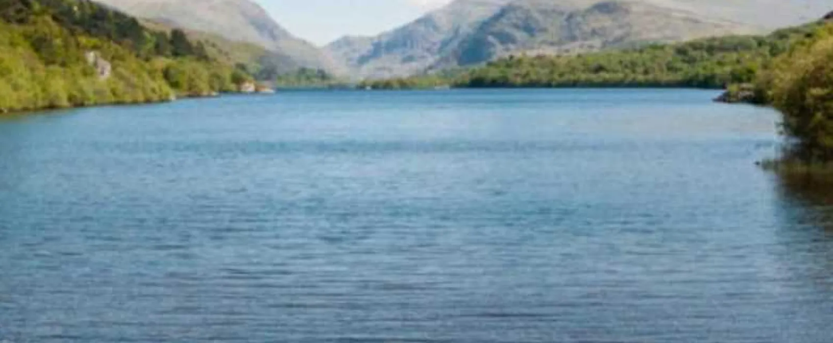 Llys Derwen Caravan &amp; Camping